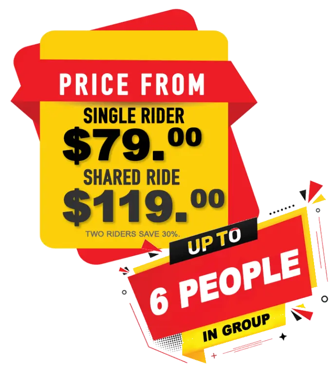 Price starts from 79 dollars Price starts from 79 dollars
